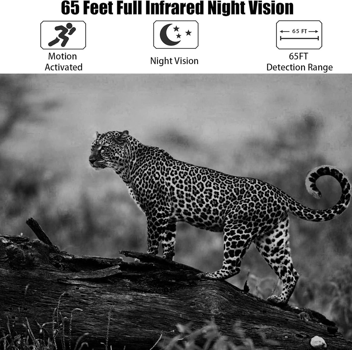 32MP 4K Night Vision Trail Camera with 32G Card & 8AA Batteries M99029