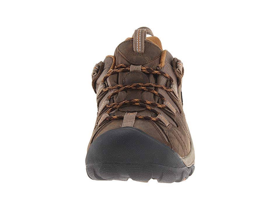 Cascade Brown Waterproof Hiking Shoes D314