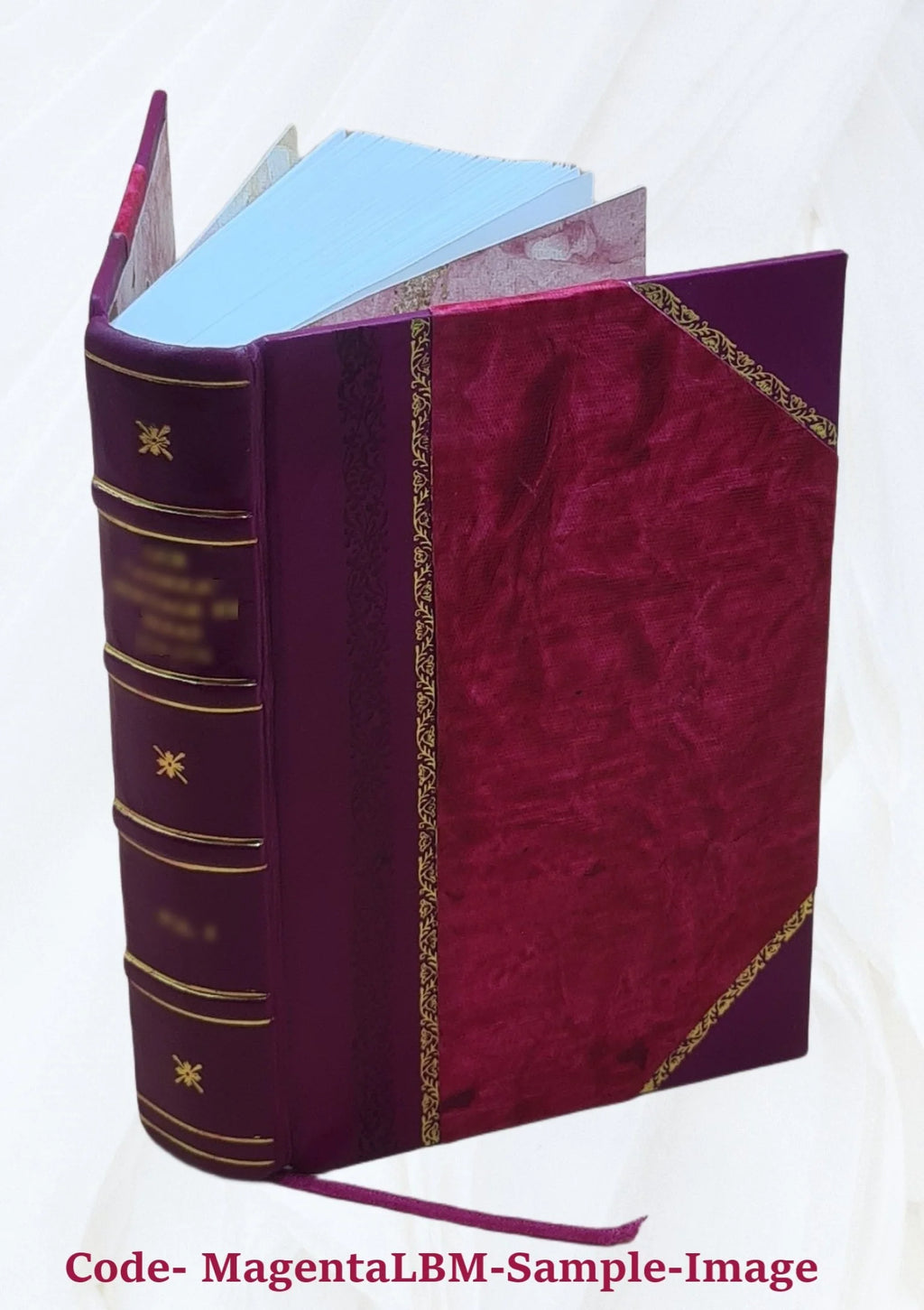 Leather Bound Book S705