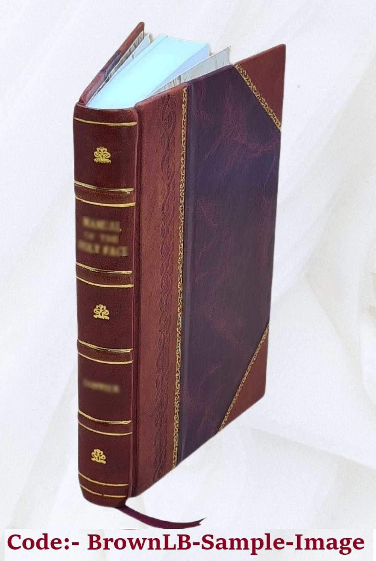 Leather Bound Book O905909