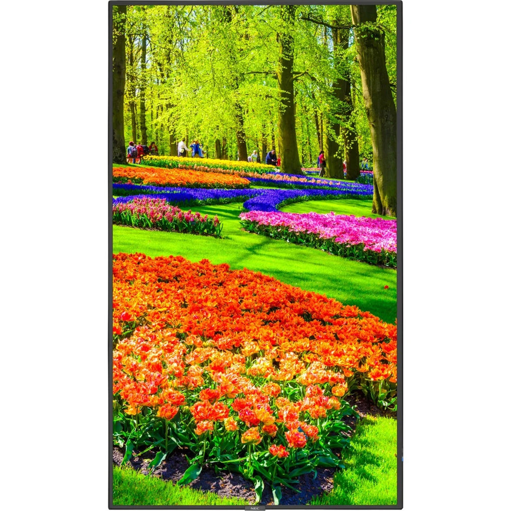 Black 43" 3840 x 2160 (4K) LED LCD Monitor D430569