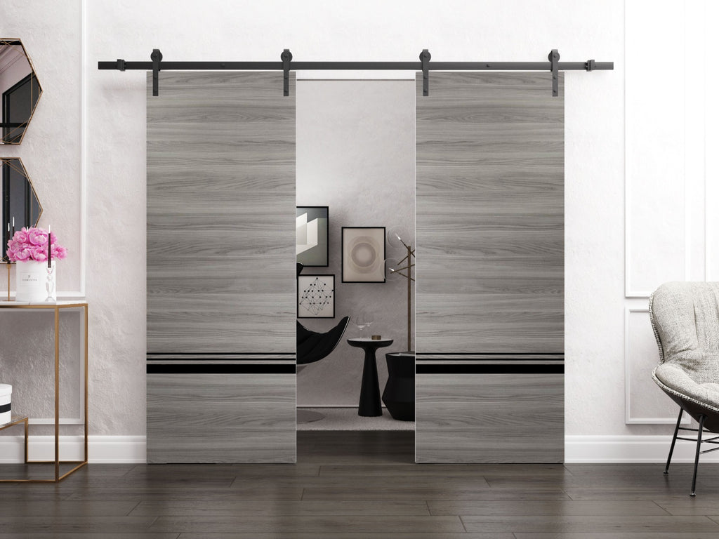 Double Barn Door 36 x 80 inches Grey Matte with Frosted Glass Stainless Steel Rail Hangers Solid Panel Interior Doors D865