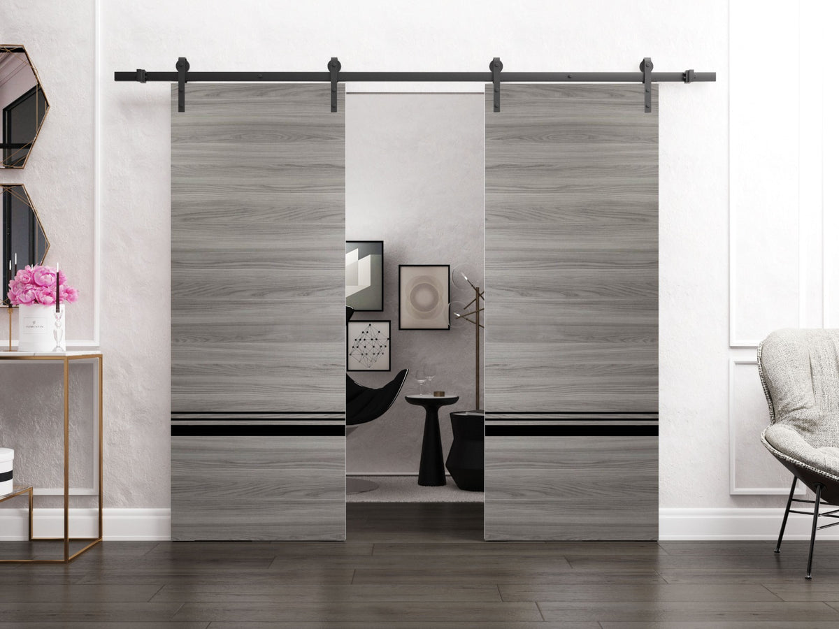 Double Barn Door 36 x 80 inches Grey Matte with Frosted Glass Stainless Steel Rail Hangers Solid Panel Interior Doors D865